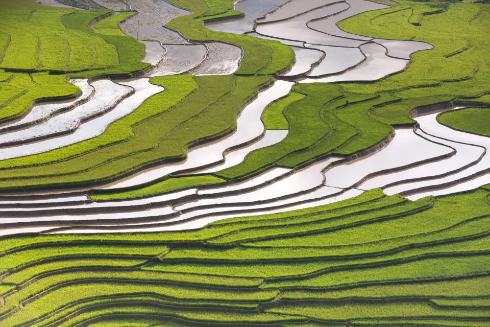 Kho gạo của Tơ Ngôl Phới